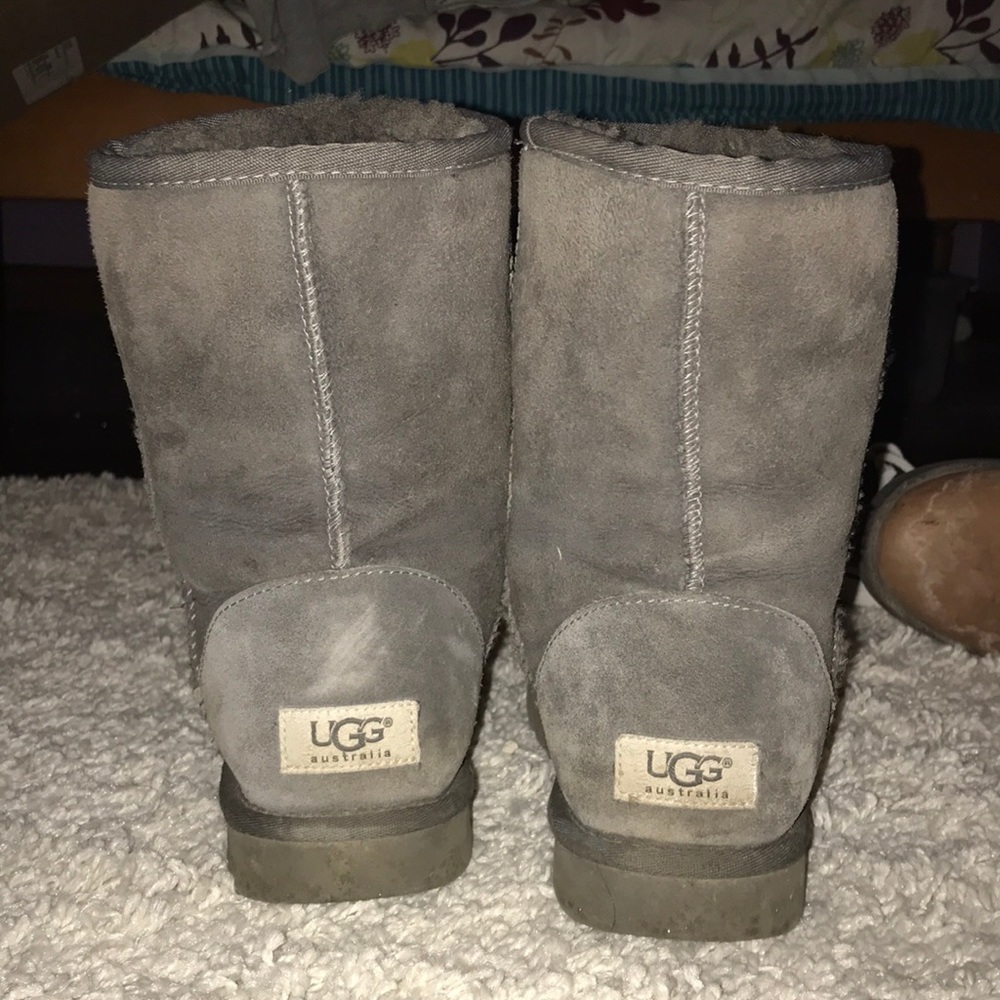 Short Grey Uggs